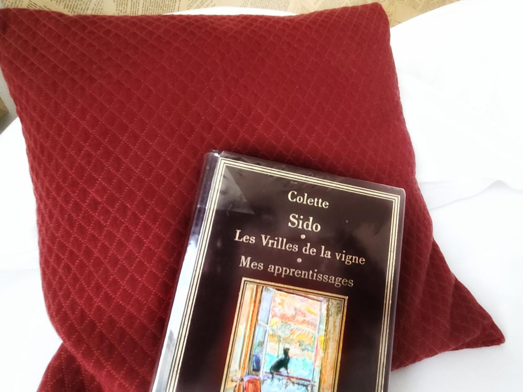 Hotel Mille Et Une Feuilles La Charite-sur-Loire Ngoại thất bức ảnh